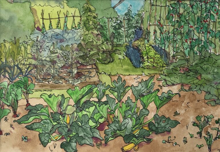 Allotment Naomi Davies Art