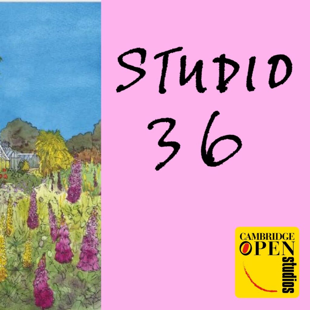 Naomi Davies Art Cambridge based artist working in pen and watercolour